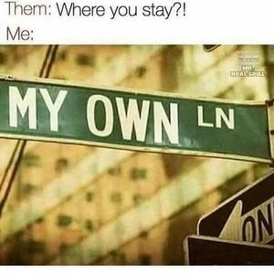 Meet your Posher, Bruce